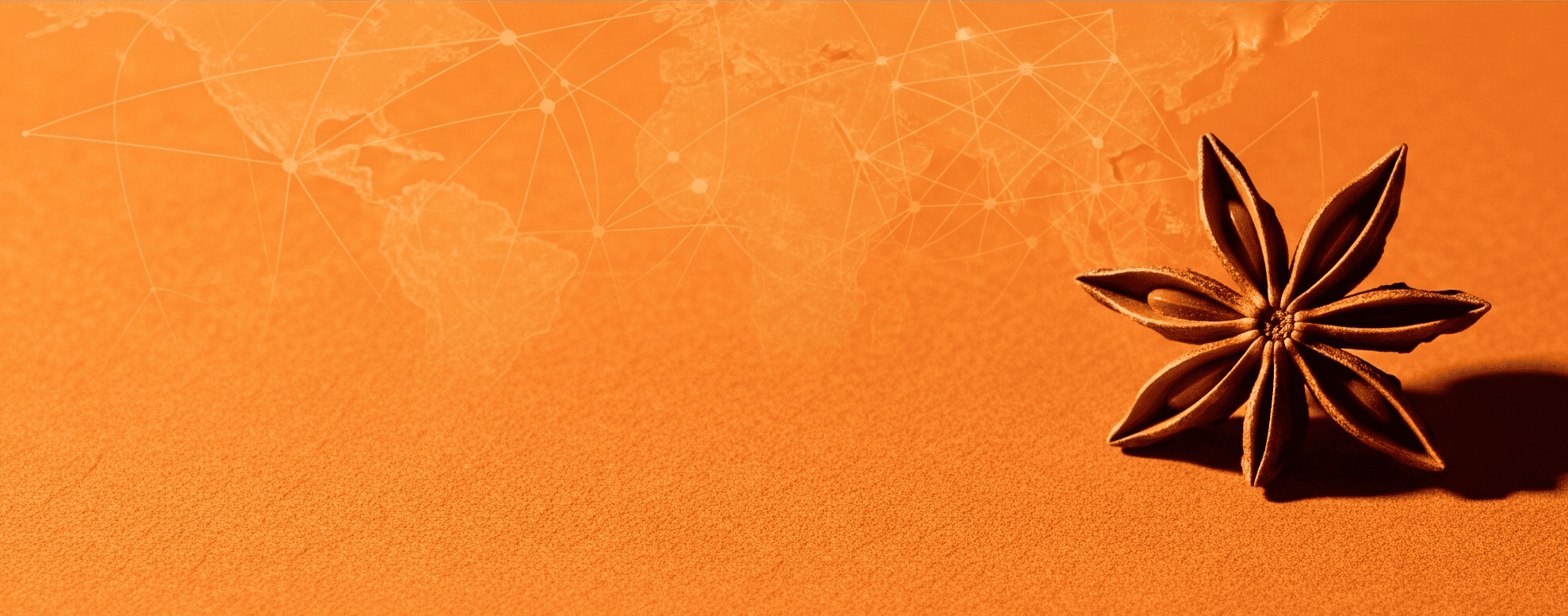 Hợp tác xuất khẩu cùng Dh Foods - Mang gia vị Việt ra thế giới