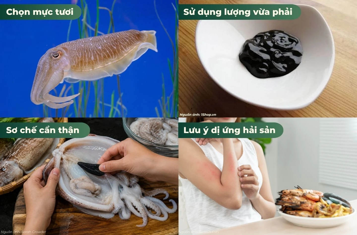Lưu ý khi sử dụng Túi mực 