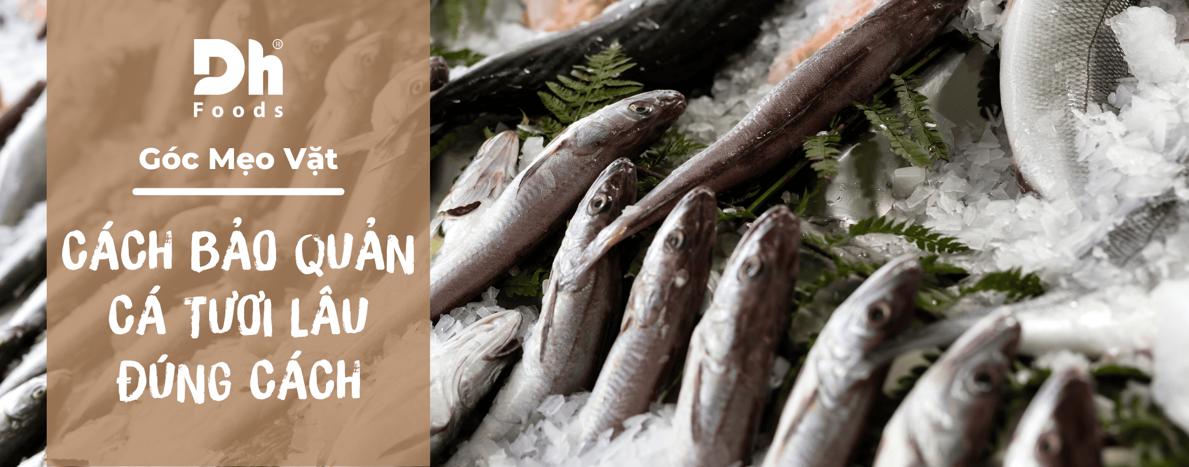 Cách bảo quản cá tươi lâu mà chị em nội trợ cần biết