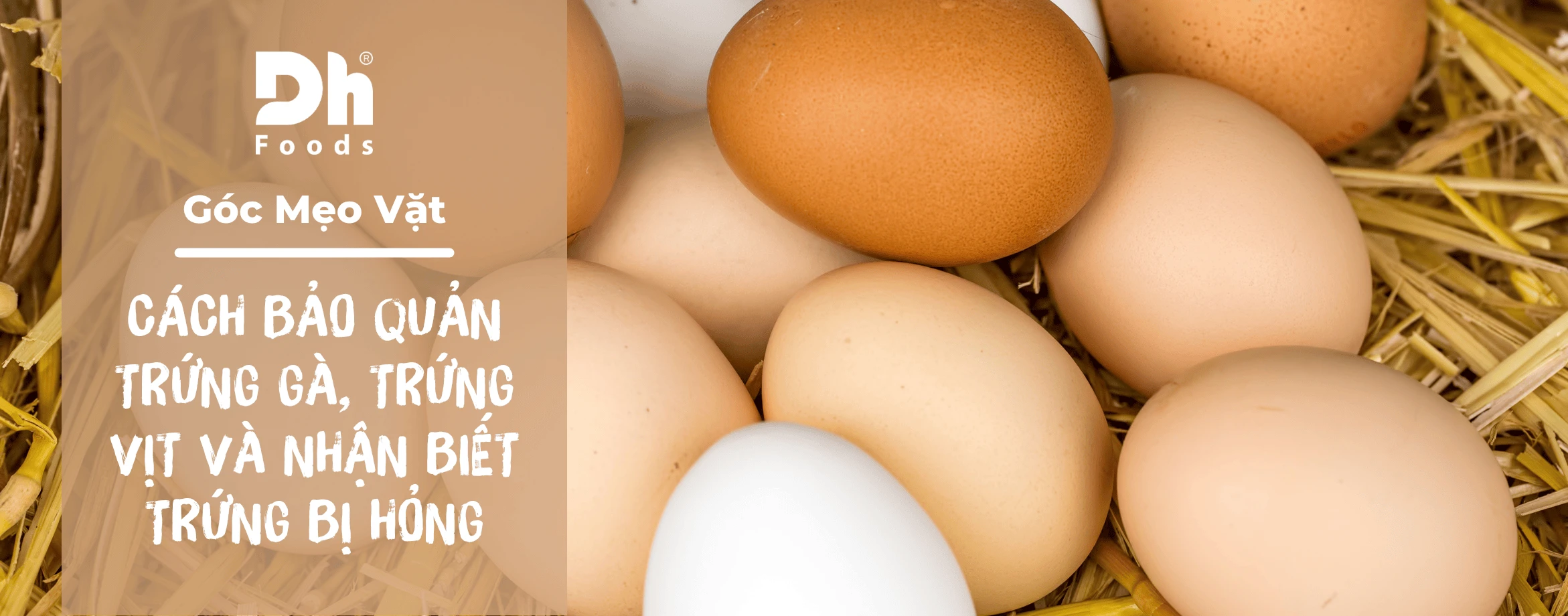 Quy tắc vàng trong bảo quản trứng gà, trứng vịt và cách nhận biết trứng bị hỏng