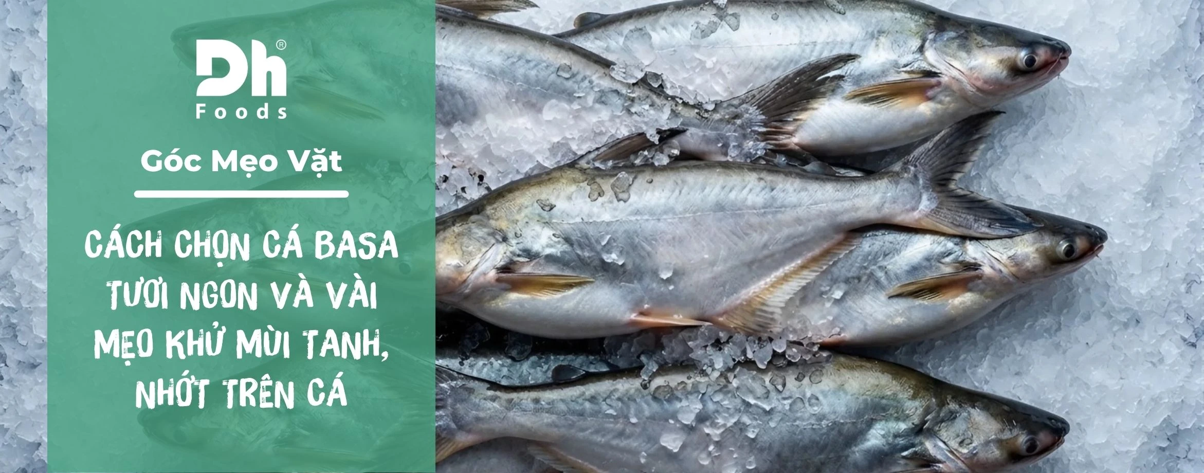 C&aacute;ch chọn c&aacute; basa tươi ngon v&agrave; v&agrave;i mẹo khử m&ugrave;i tanh, nhớt tr&ecirc;n c&aacute;