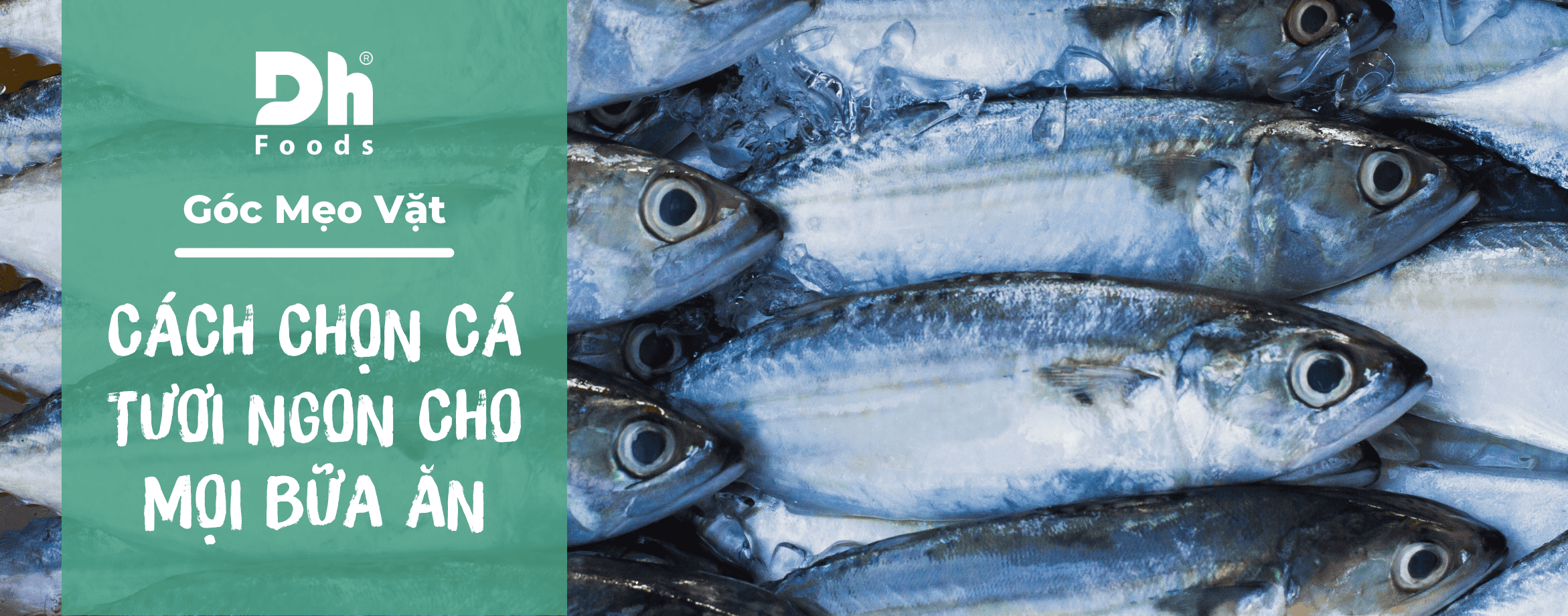 Bật mí cách chọn cá tươi ngon cho mọi bữa ăn tròn vị
