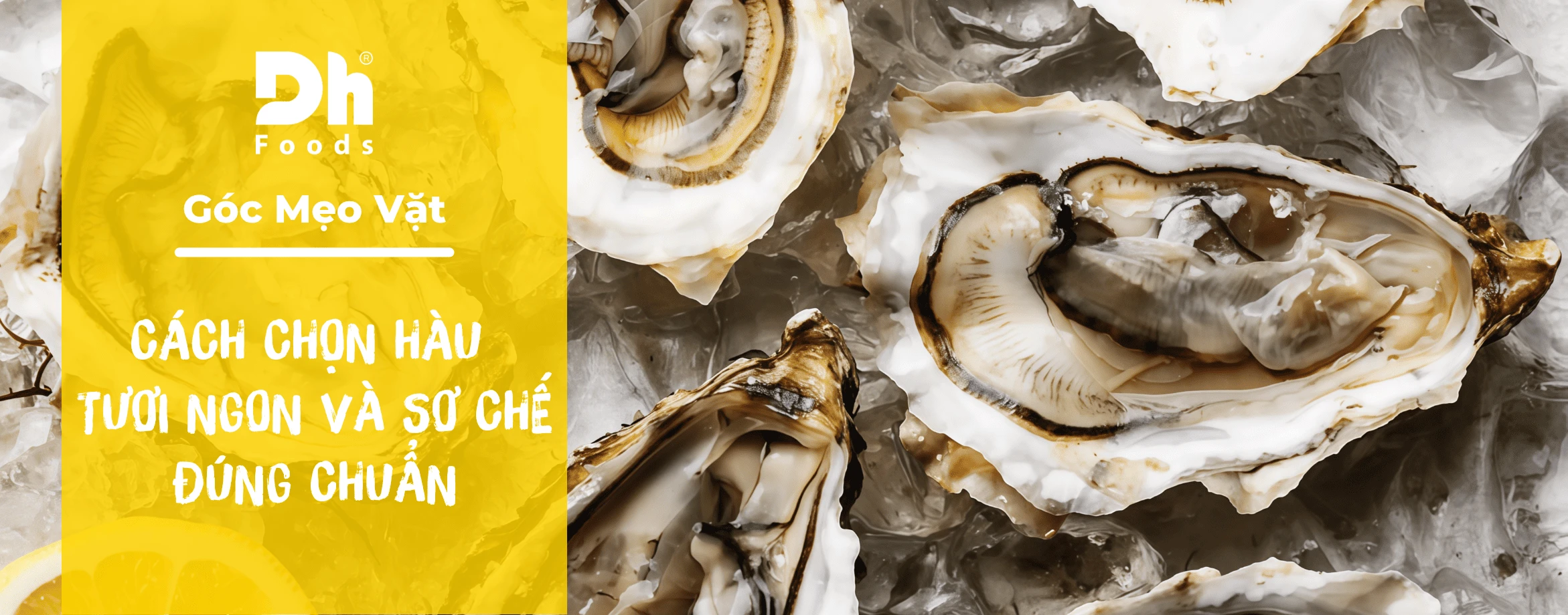 Học ngay mẹo chọn H&agrave;u tươi ngon v&agrave; c&aacute;ch sơ chế đ&uacute;ng chuẩn