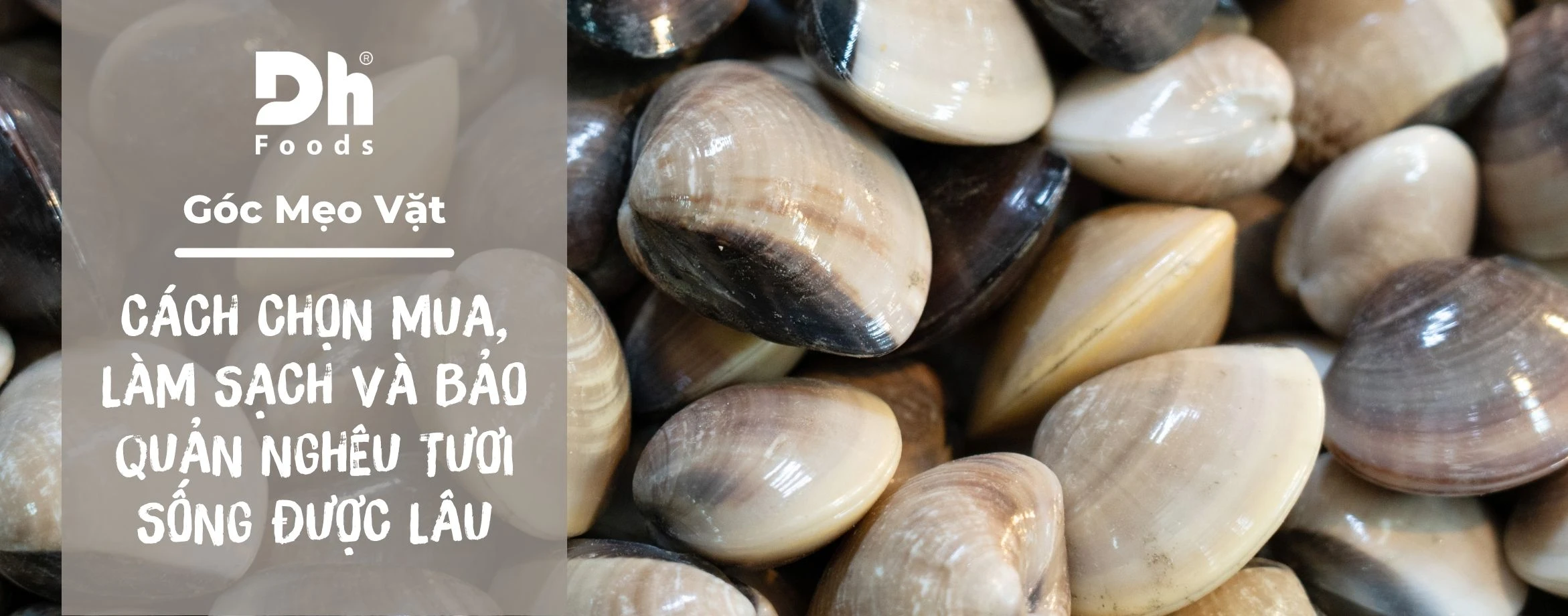 C&aacute;ch chọn mua, l&agrave;m sạch v&agrave; bảo quản ngh&ecirc;u tươi sống được l&acirc;u