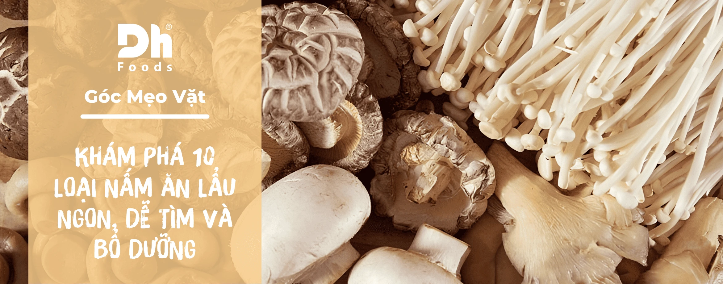 Kh&aacute;m ph&aacute; 10 loại nấm ăn lẩu ngon, dễ t&igrave;m v&agrave; bổ dưỡng