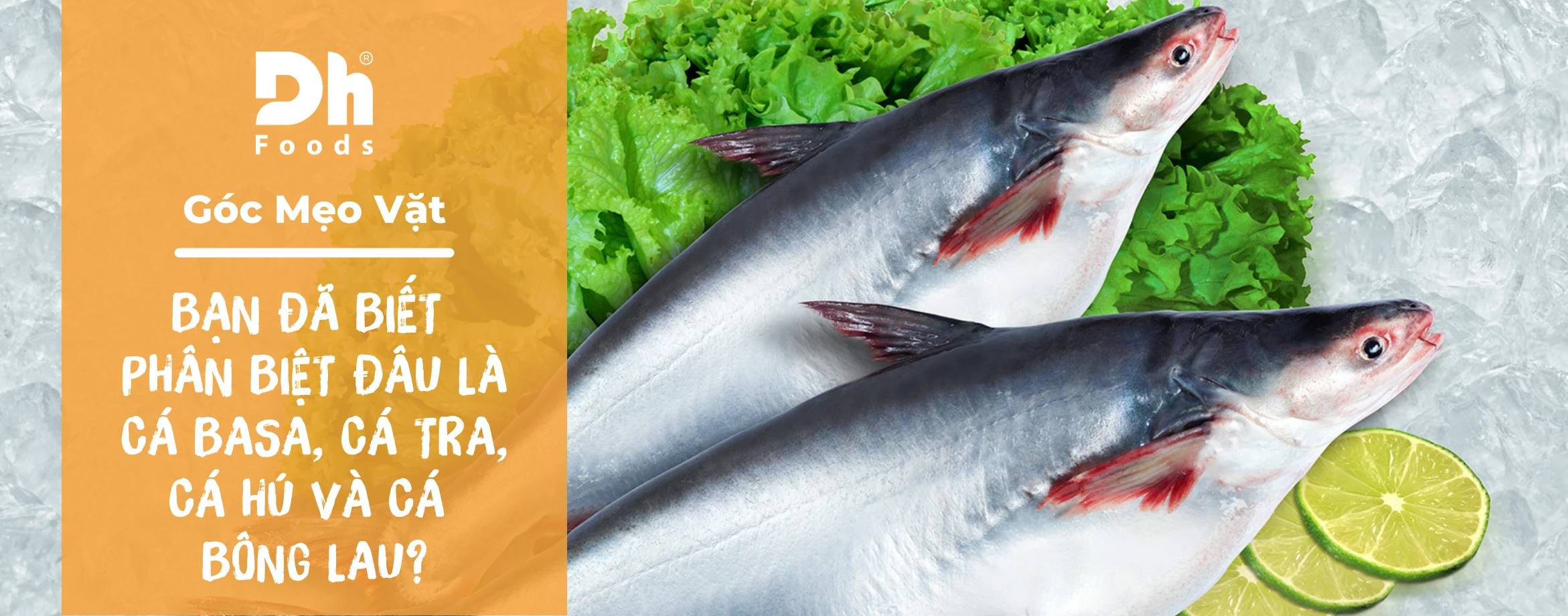 Ph&acirc;n biệt c&aacute; basa, c&aacute; tra, c&aacute; h&uacute; v&agrave; c&aacute; b&ocirc;ng lau