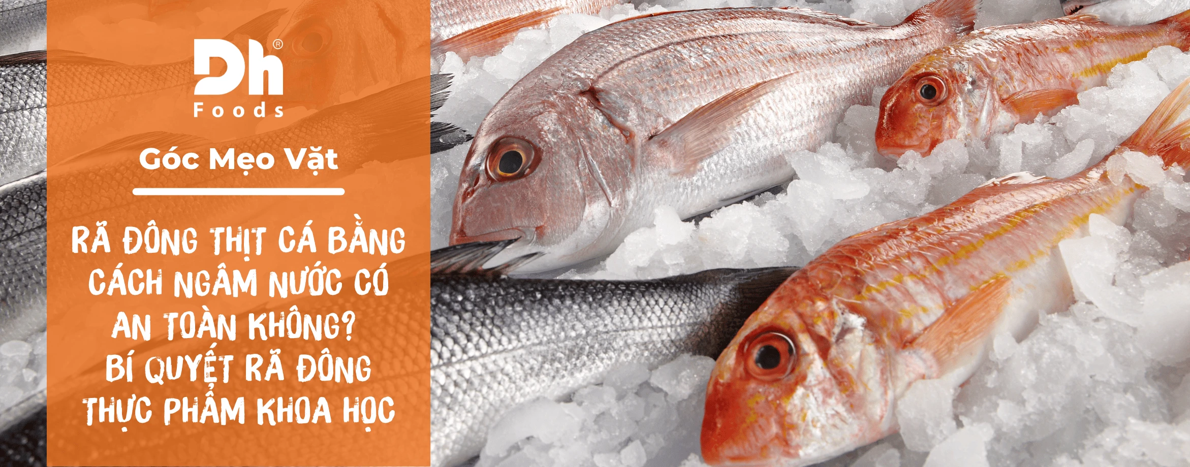 R&atilde; đ&ocirc;ng thịt c&aacute; bằng c&aacute;ch ng&acirc;m nước c&oacute; an to&agrave;n kh&ocirc;ng? B&iacute; quyết r&atilde; đ&ocirc;ng thực phẩm khoa học