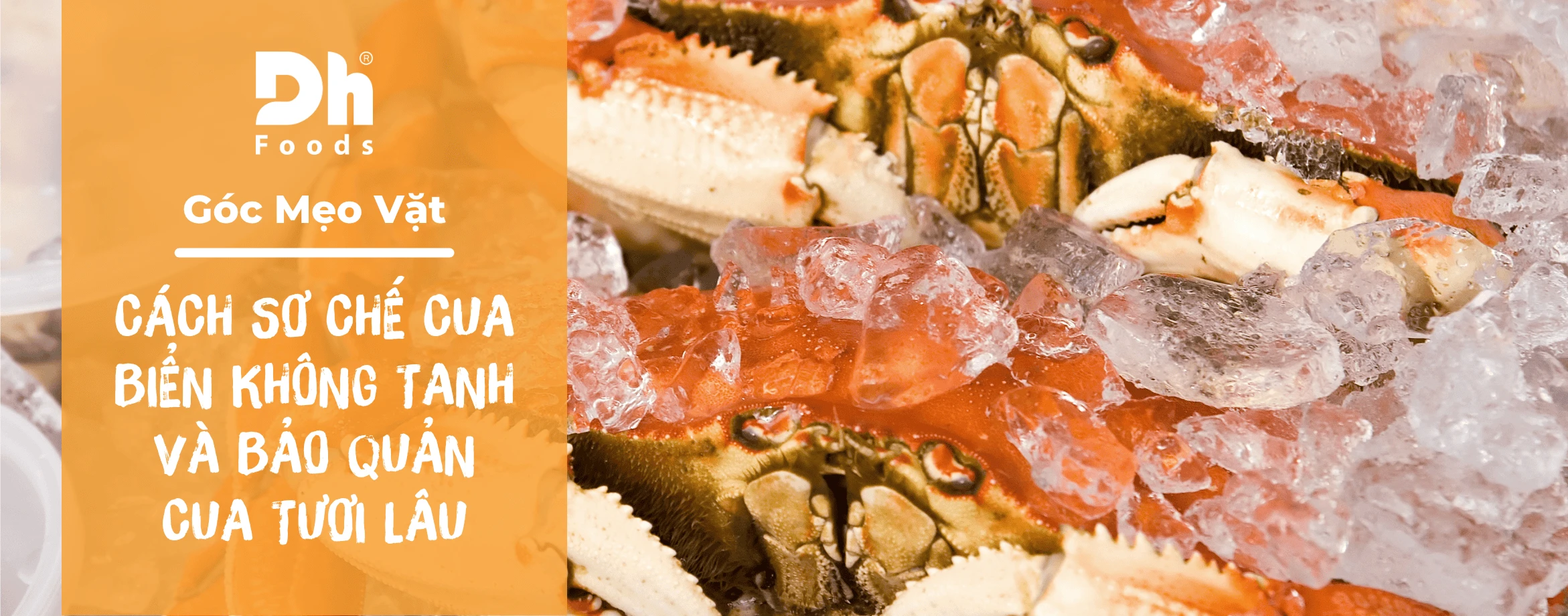 Cách sơ chế cua biển không tanh và bí quyết bảo quản thịt cua được tươi lâu